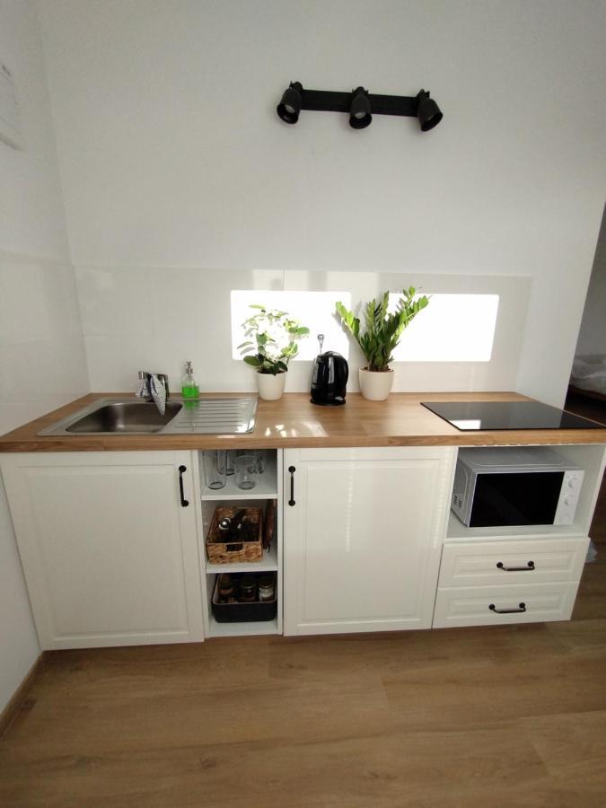 Attic Apartment Catnip براتسيلافا المظهر الخارجي الصورة